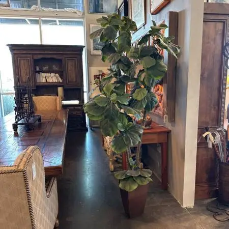 Faux Fig Plant In Tin Pot - 27X32X82H