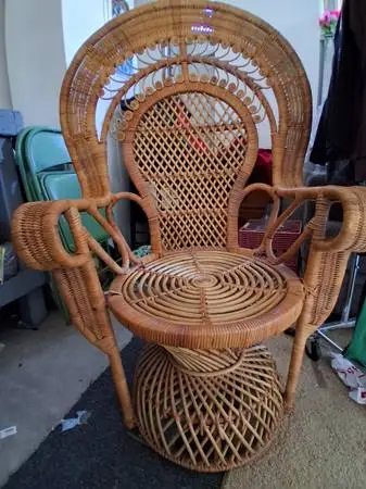 Peacock Chair