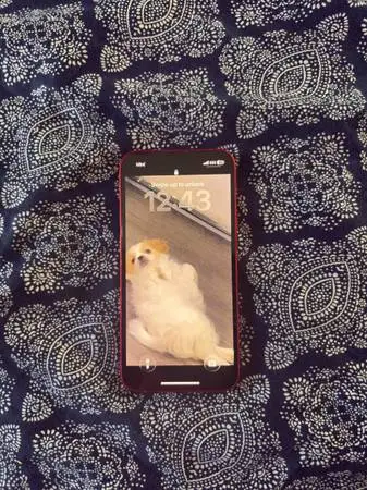 Iphone 16 mini