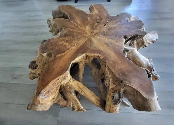 Teak root coffee table solid wood live edge wood table