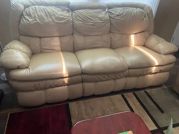 Free Leather Living Room Couch