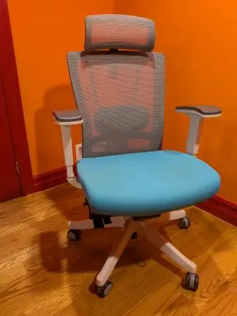 Autonomous ErgoChair 2 Ergonomic Office Chair – Lumbar Support