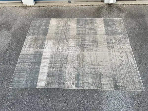 Area Rug -( regtangular size: 710 x 10 - gold/beige colored )- Used