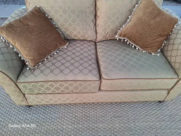 CHAMPAGNE COLOR SOFA OR LOVESEAT