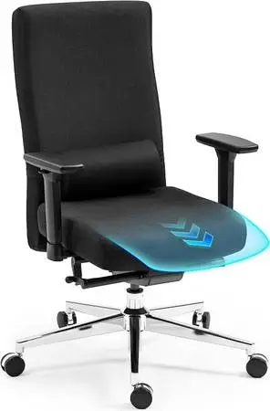 Brand new Executive Ergonomic Office chair