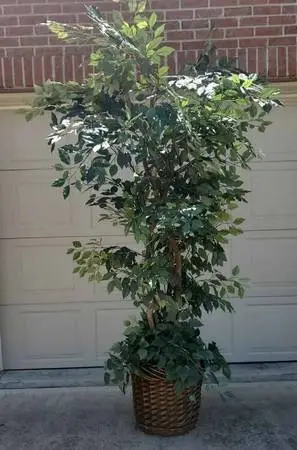 DECORATIVE 7 DESIGNER TREE IN BASKET