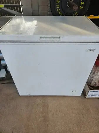 Freezer (Chest)