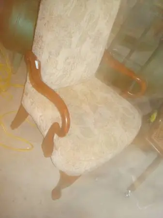 arm chair / chair