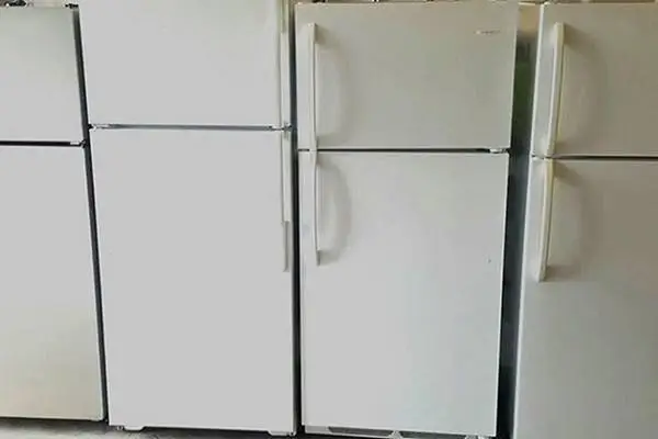 Top and Bottom Fridge Refrigerator