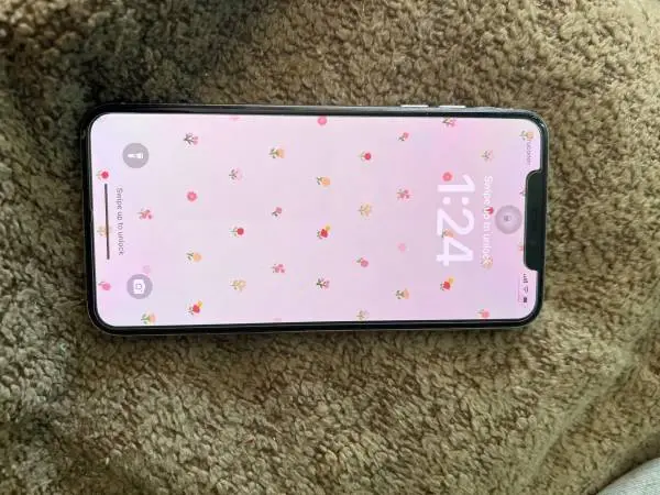 iPhone XS max unlocked