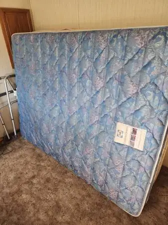 Sealy Queen Mattress
