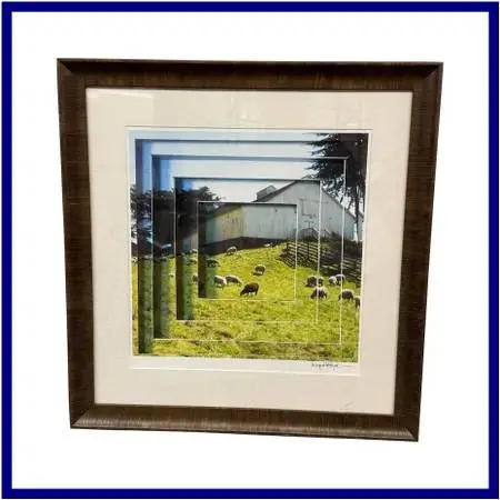 Maynard Hale Lyndon playful Ways Of Seeing The Sea Ranch Framed Phot