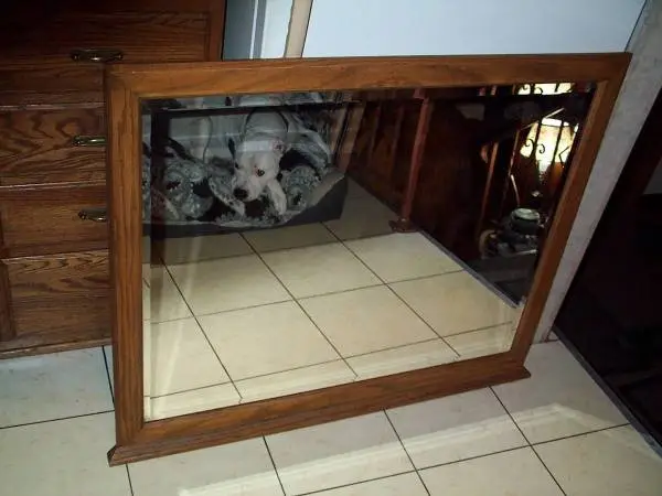 BIG MIRROR Beveled Glass Wall Hanging or Dresser Mount Oak Wood