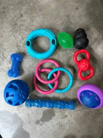 BIG DOG TOYS FOR A BIG DOG 1 PRICE FOR ALL