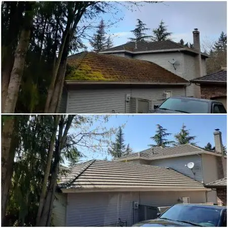🏠Roof cleaning💧Gutter cleaning💧Soft washing. Exterior painting ☀️