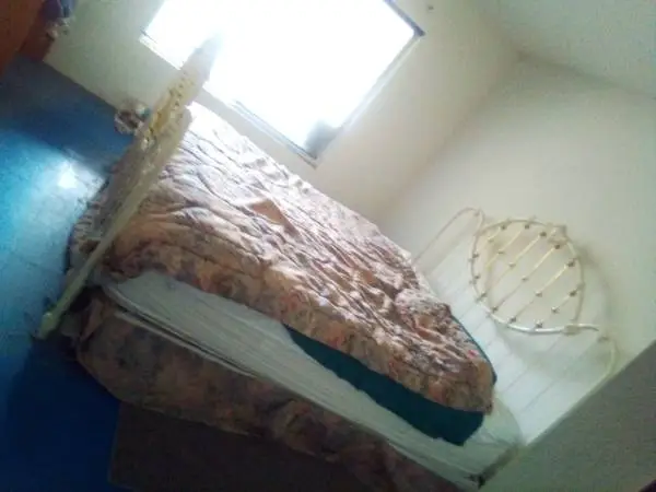 Slat  Bed