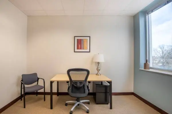 Private small office with High-Level Support