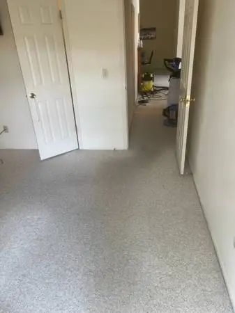 Professional Carpet Cleaning