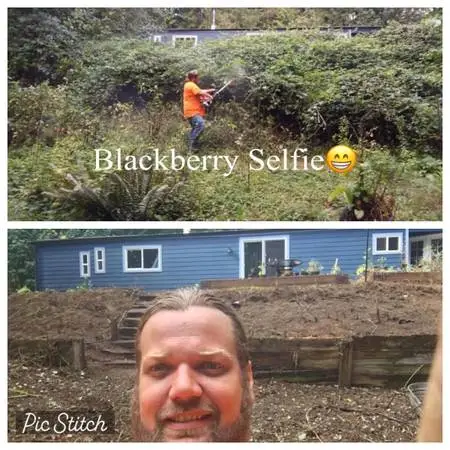 5āļøGoogle Rated Fall Yard Clean UPšØHedgesš³LeafsšTree Trimmingš²