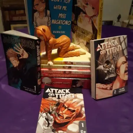 Japanese Anime Collection $80