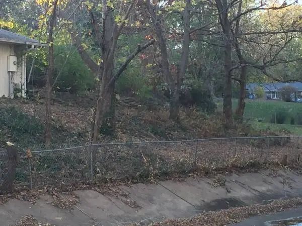 Major Yard Clean. Up Saplings, & brush Piles, Fence Rows, Call us