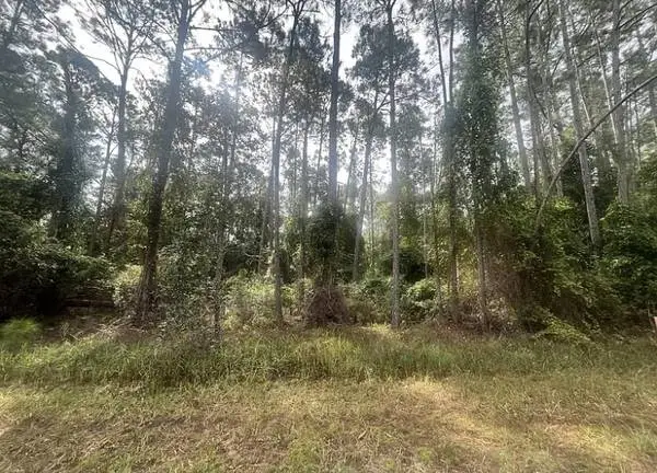 🇺🇸 0.23 Acres! Prime Land in Georgetown! ✅