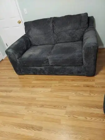 Couch and Love Seat