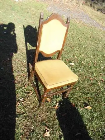 26 wooden padded chairs,