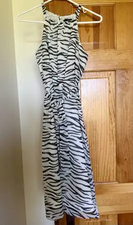 Women’s Banana Republic Tiger Striped Dress
