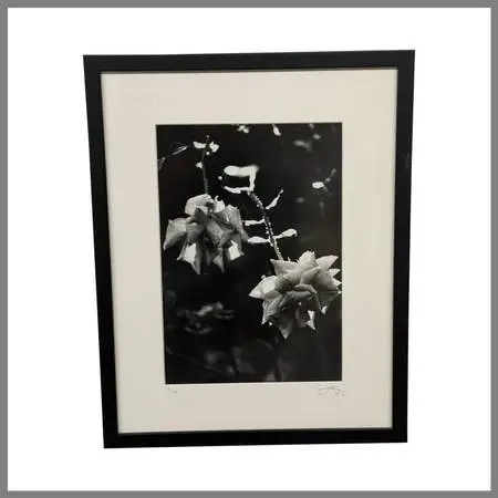 Jess Johnston Dozen Roses Xi Black & White Photograph Edition 1/10, Fr