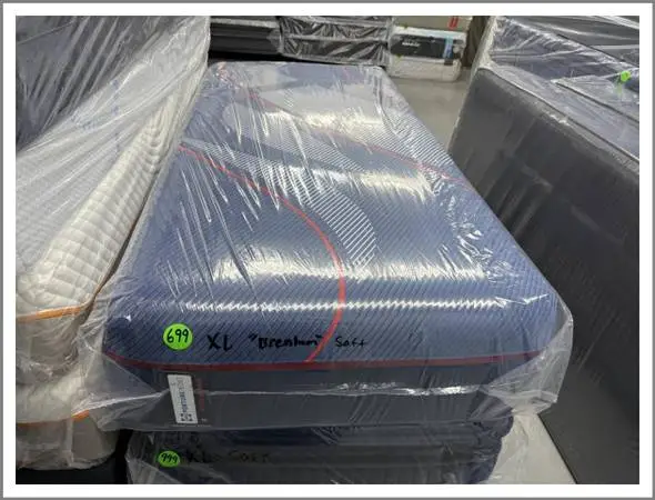 Twin Xl Sealy Elite Hybrid Mattress & Box Spring Bed