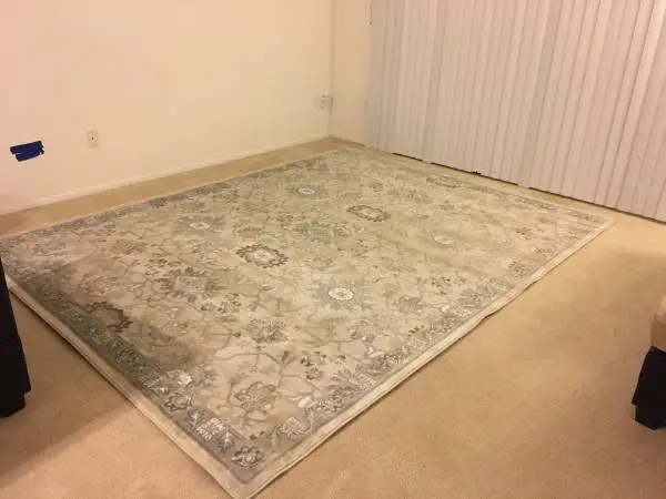 BAZAAR area rug **color luminous ivory  7ft by 10ft mint**