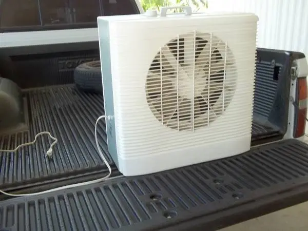 swamp fan