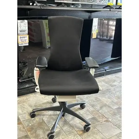 Herman MIller Embody High End Ergonomic Office Chair