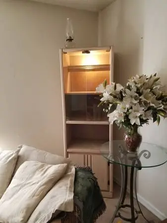 Curio Cabinets (2) lighted