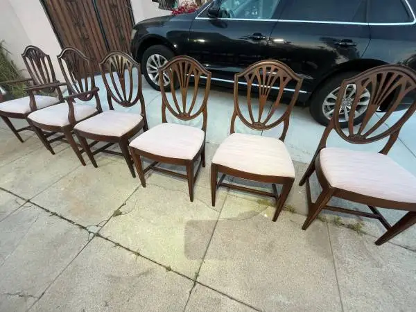 Classy Dining Chairs x 6