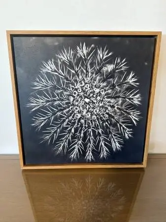 Succulent III by Barclay Butera- 24X3X24