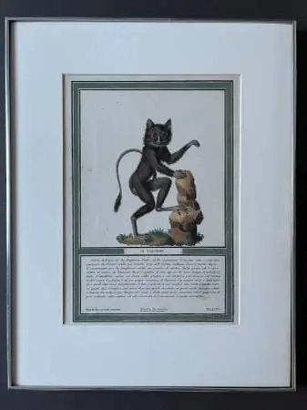 Jacobs 1800s Monkey Engraving Hand Colored Professionally Framed BEST OFFER