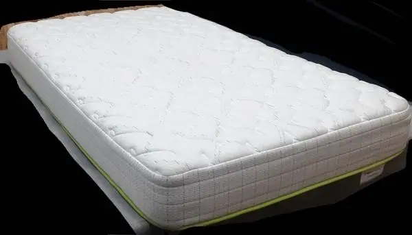 Twin Therapedic foam mattress Only-Professionally Cleaned-Free Deliver