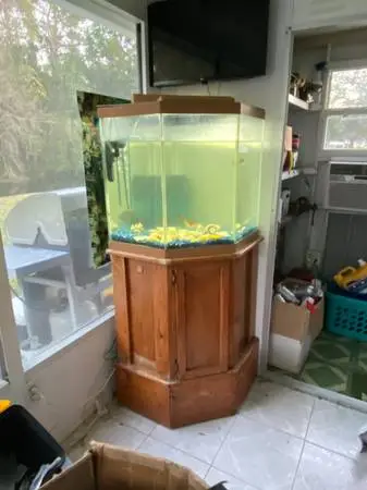 fish aquarium tank 45 gal. corner  unit  pentagon w/ oak  base