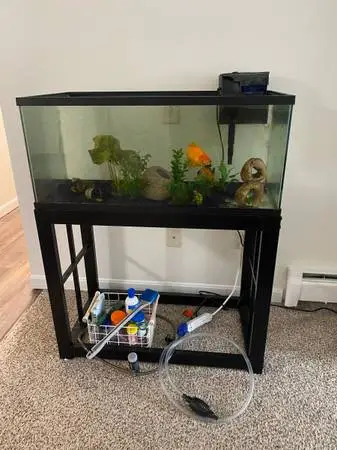 Fish Tank (40gal) and Metal Stand