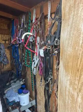 Horse equipment