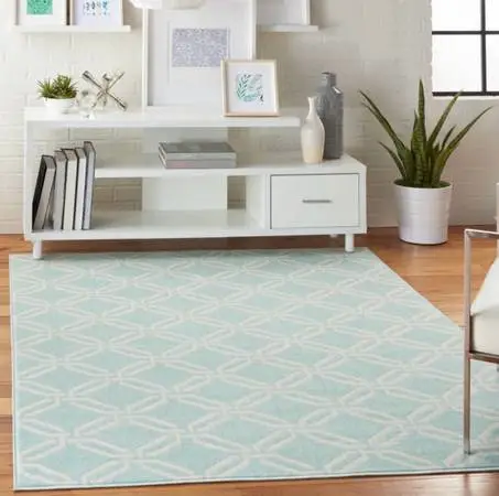 Free 8’x10’ area rug, mint green and white