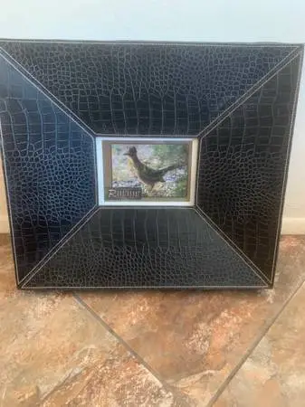 Roadrunner Photograph In Unique Leather Frame