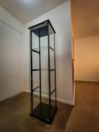 Modern 4-Shelf Glass Curio Cabinet 64 Tall