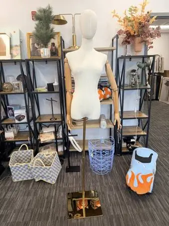 Mannequin Torso Body Dress Form Manikin Female Dress Form Pinnable