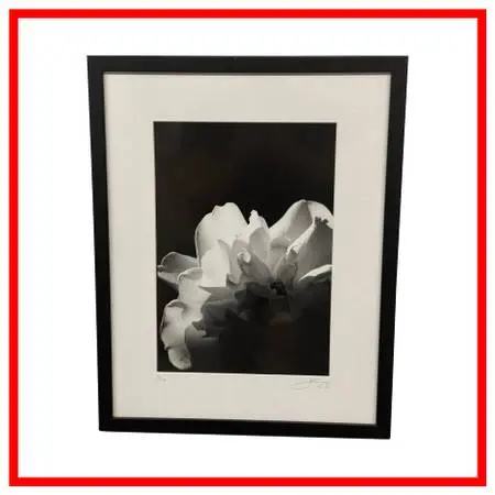 Jess Johnston Photograph, Framed