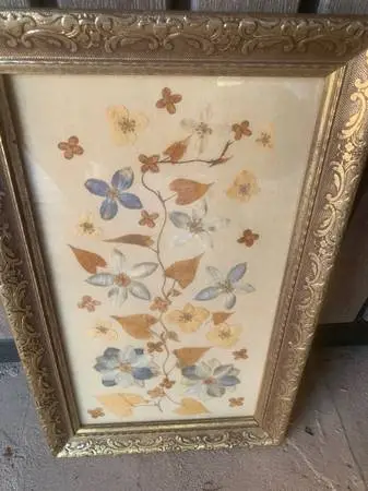 Pressed Flowers Art Vintage Framed