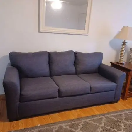Hide a bed couch purchased 6 months ago nonsmoker