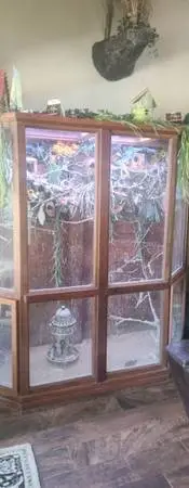 Indoor flight cage,  finch aviary. Bird cage